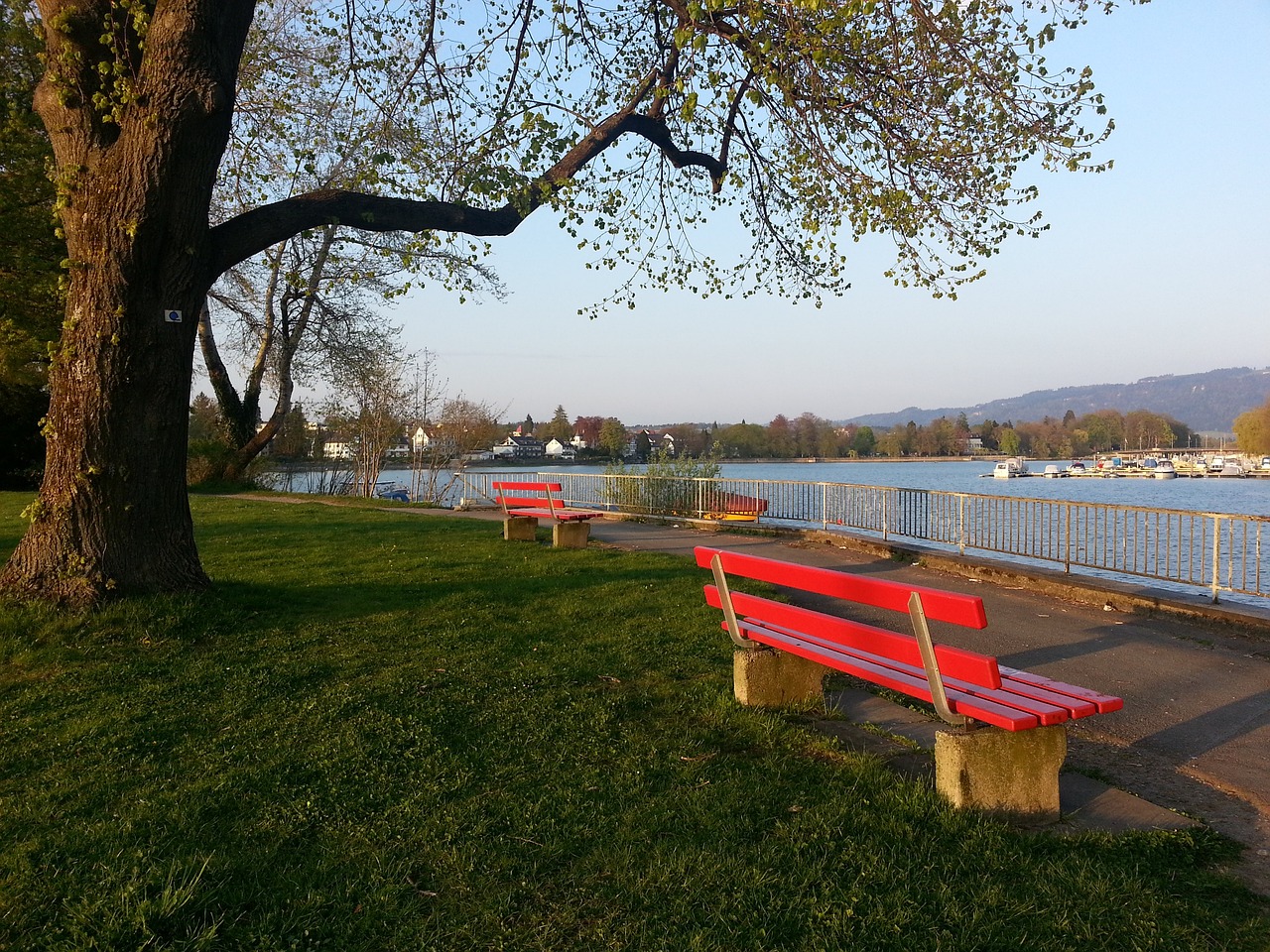 传统强队不 传统强队不