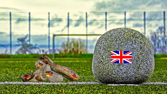 球迷反响 球迷反响