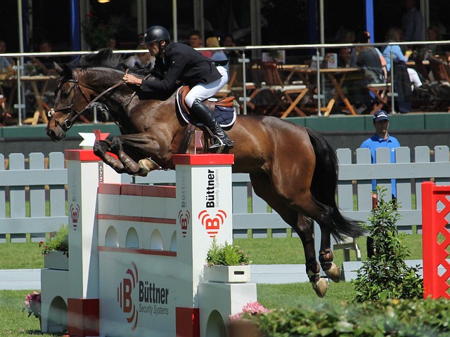 中国队还注 中国队还注