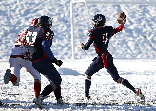 法国和意大 法国和意大